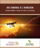 Drones Horizon.pdf.jpg