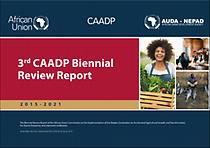 41573-doc-ENGLISH_3rd_CAADP_Biennial_Review_Report_final.pdf.jpg